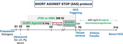 “Short agonist stop” protocol, an ovarian stimulation for poor responders in in vitro fertilization (IVF): A pilot study
